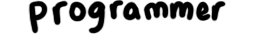 Programmer